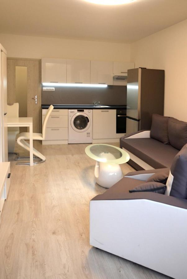 Utulny Apartman V Centru, S Krasnym Vyhledem Decin Exterior foto
