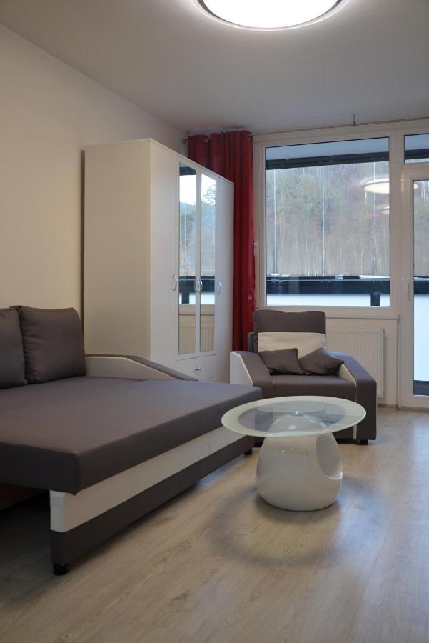 Utulny Apartman V Centru, S Krasnym Vyhledem Decin Exterior foto