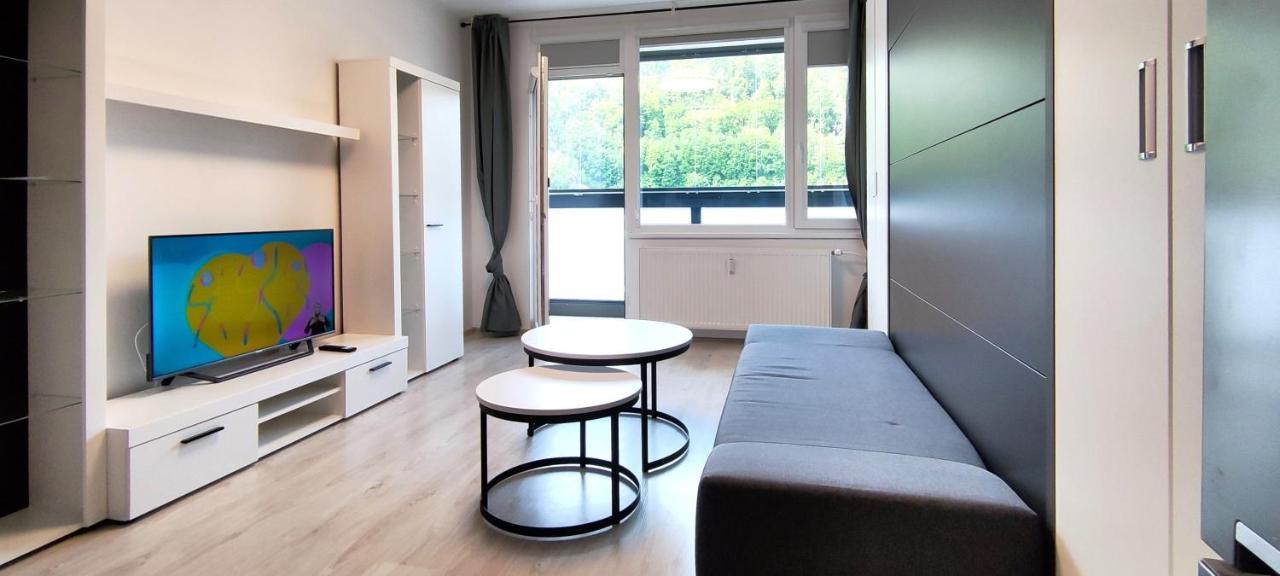 Utulny Apartman V Centru, S Krasnym Vyhledem Decin Exterior foto
