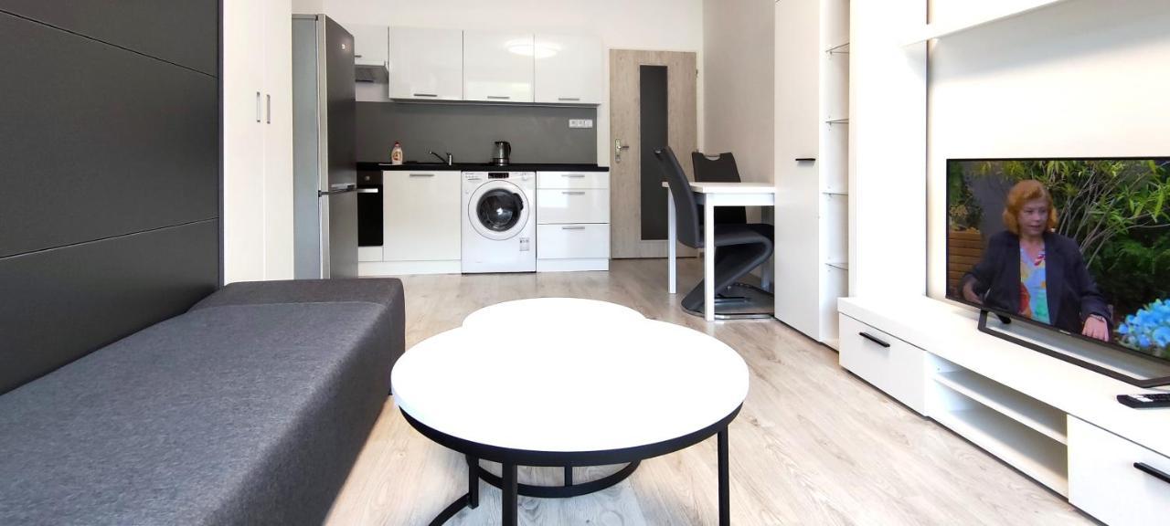 Utulny Apartman V Centru, S Krasnym Vyhledem Decin Exterior foto