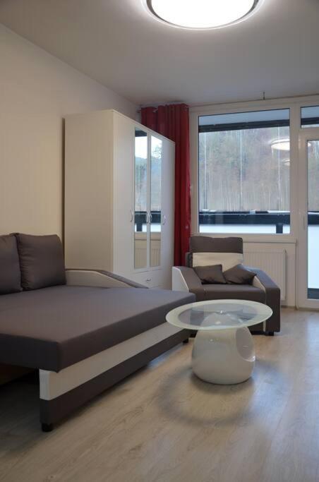 Utulny Apartman V Centru, S Krasnym Vyhledem Decin Exterior foto