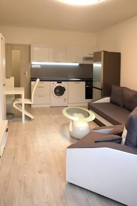 Utulny Apartman V Centru, S Krasnym Vyhledem Decin Exterior foto